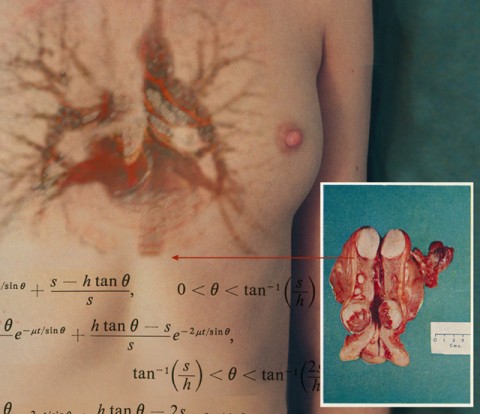 Jennifer Willet Imagining the Self Digital Photography 2001 Photographer: Shawn Bailey