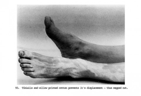 Jennifer Willet Designs for Everbright Digital Photography 1999 Photographer Credit: Shawn Bailey