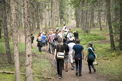 Jennifer Willet - Cell Break (The Banff Centre, Banff National Park, 2009) Photo: Don Lee