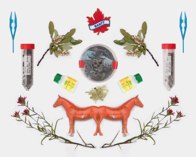 Jennifer Willet - Natural Science, 2011-2014